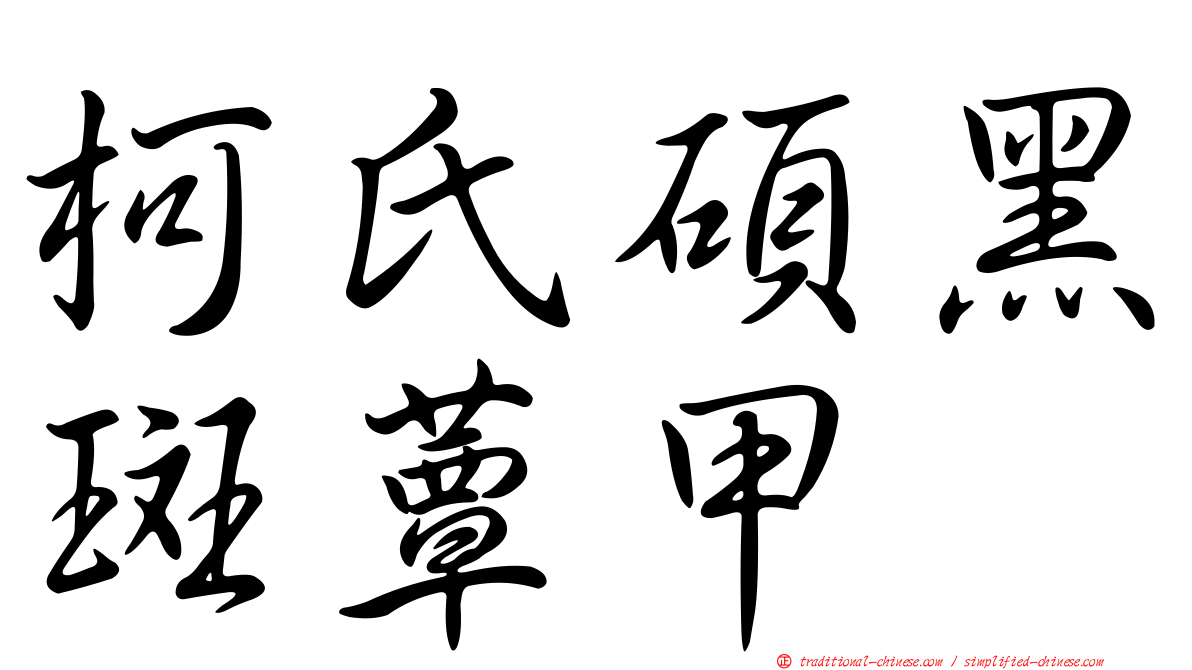 柯氏碩黑斑蕈甲