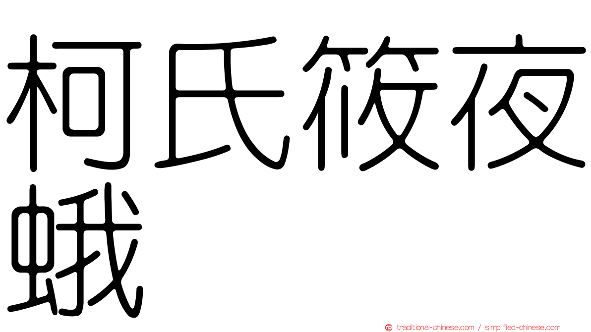 柯氏筱夜蛾
