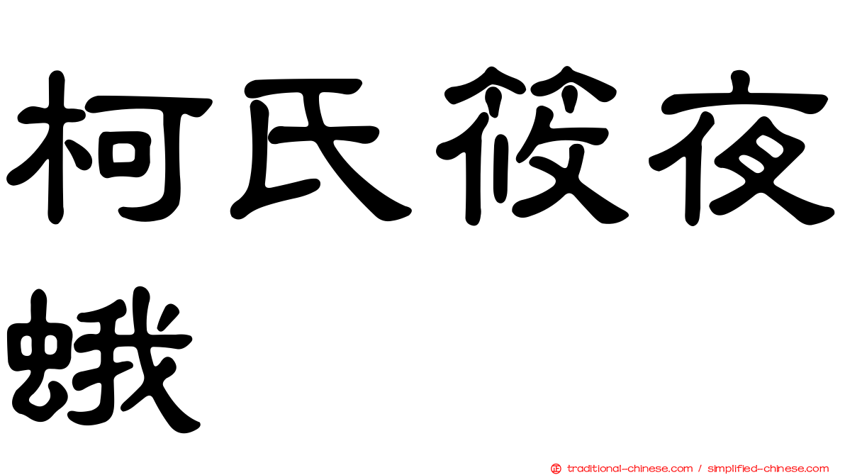 柯氏筱夜蛾