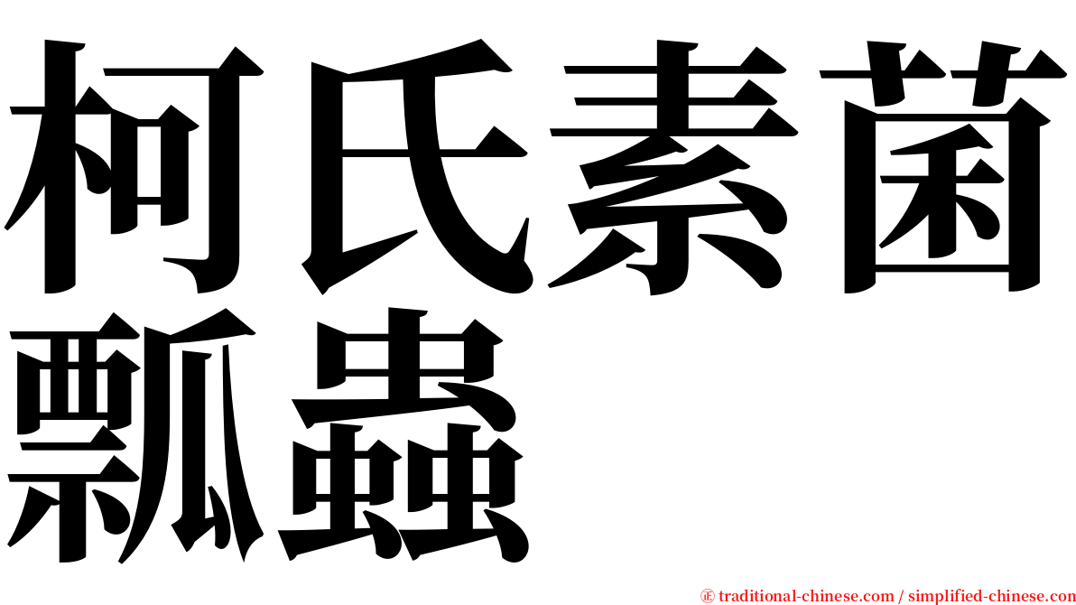 柯氏素菌瓢蟲 serif font