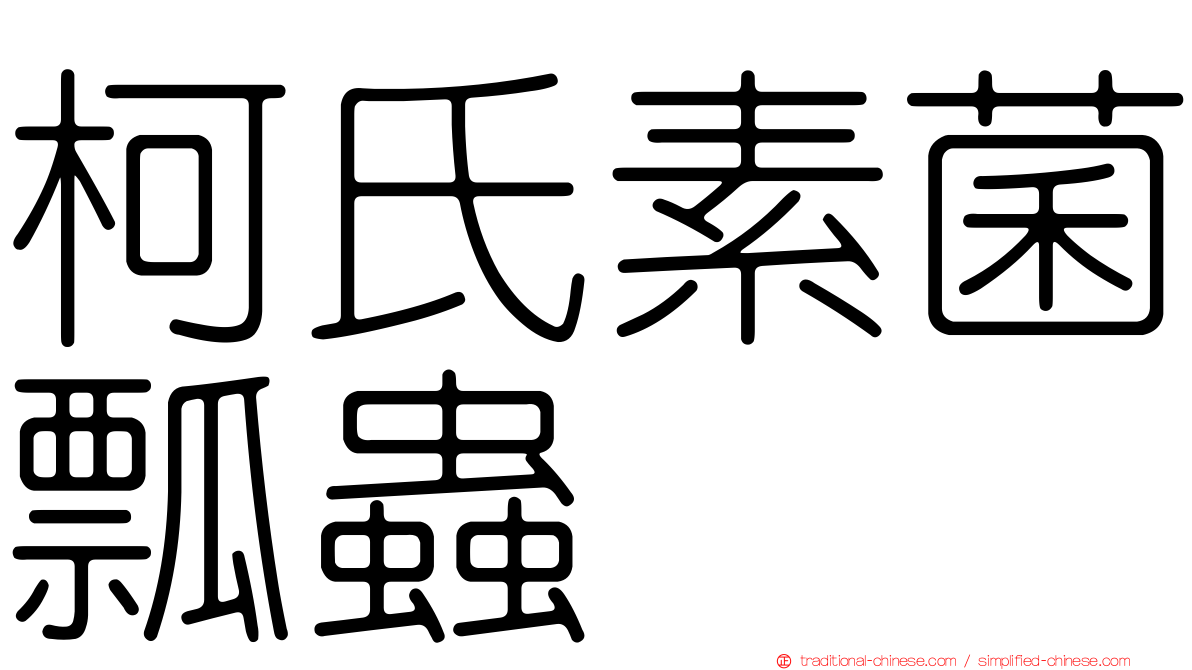 柯氏素菌瓢蟲