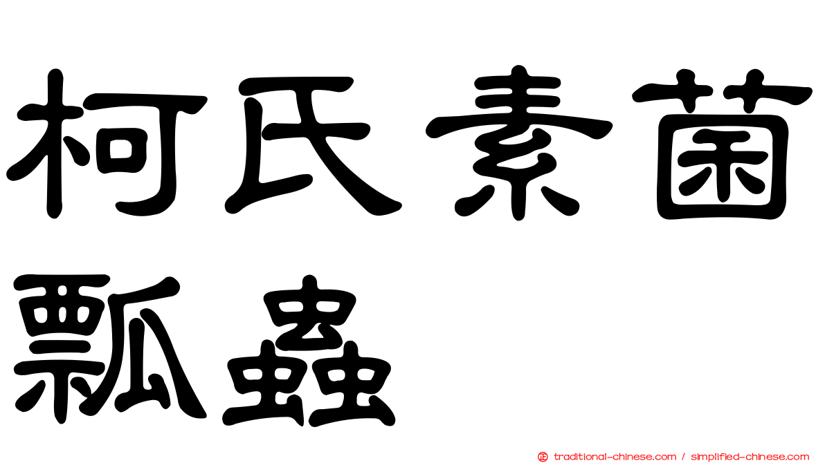 柯氏素菌瓢蟲