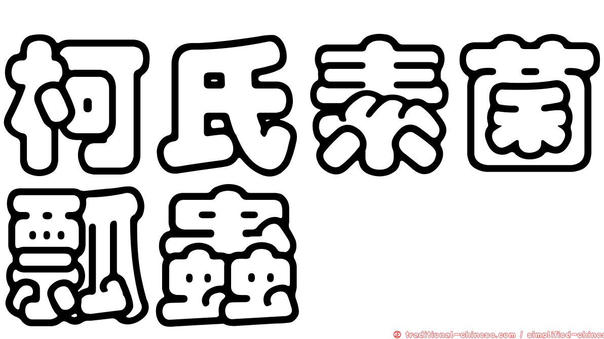 柯氏素菌瓢蟲
