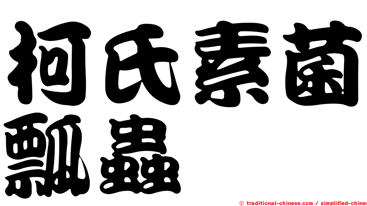 柯氏素菌瓢蟲