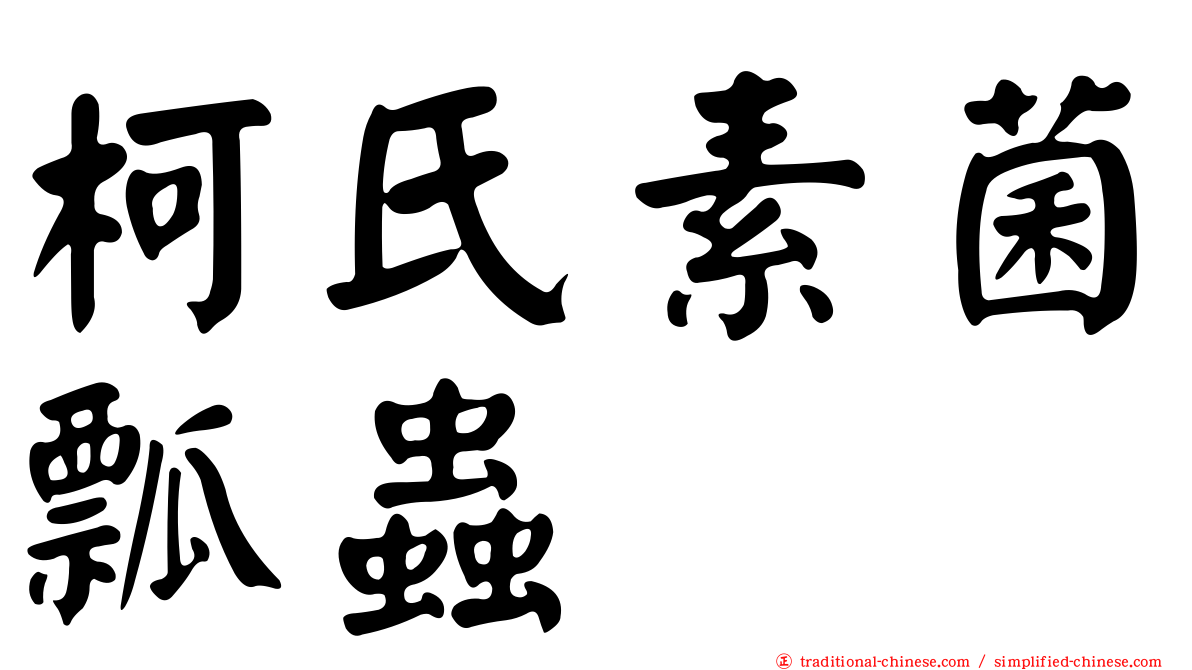 柯氏素菌瓢蟲