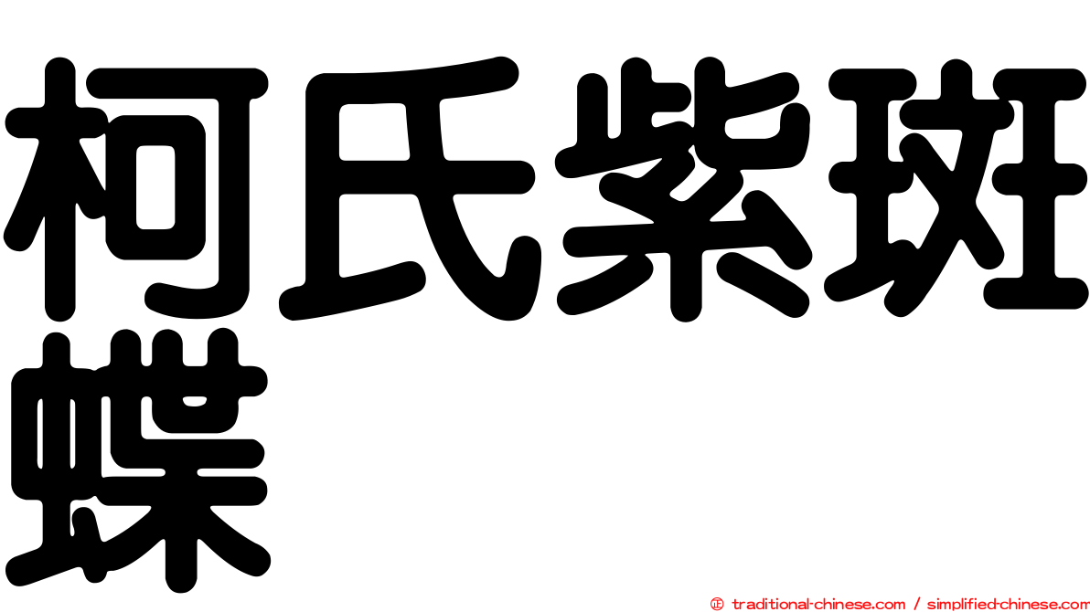柯氏紫斑蝶