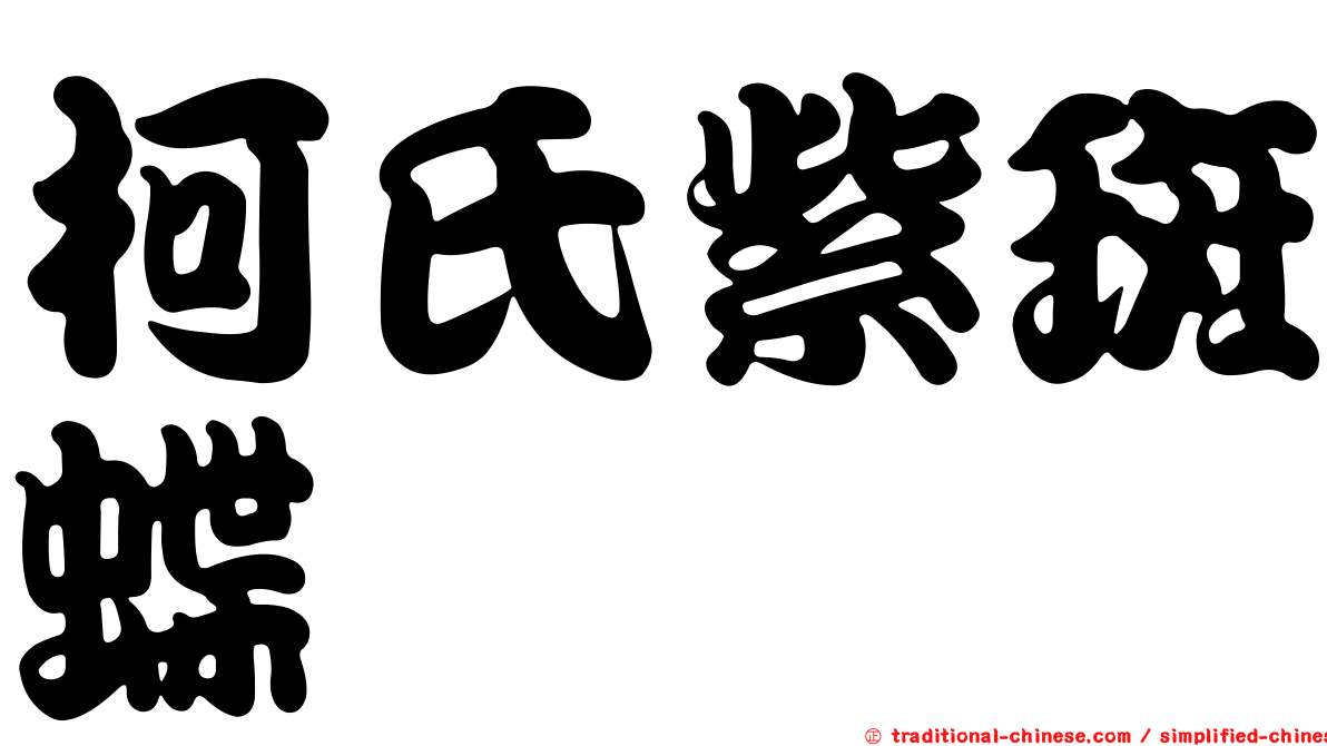 柯氏紫斑蝶