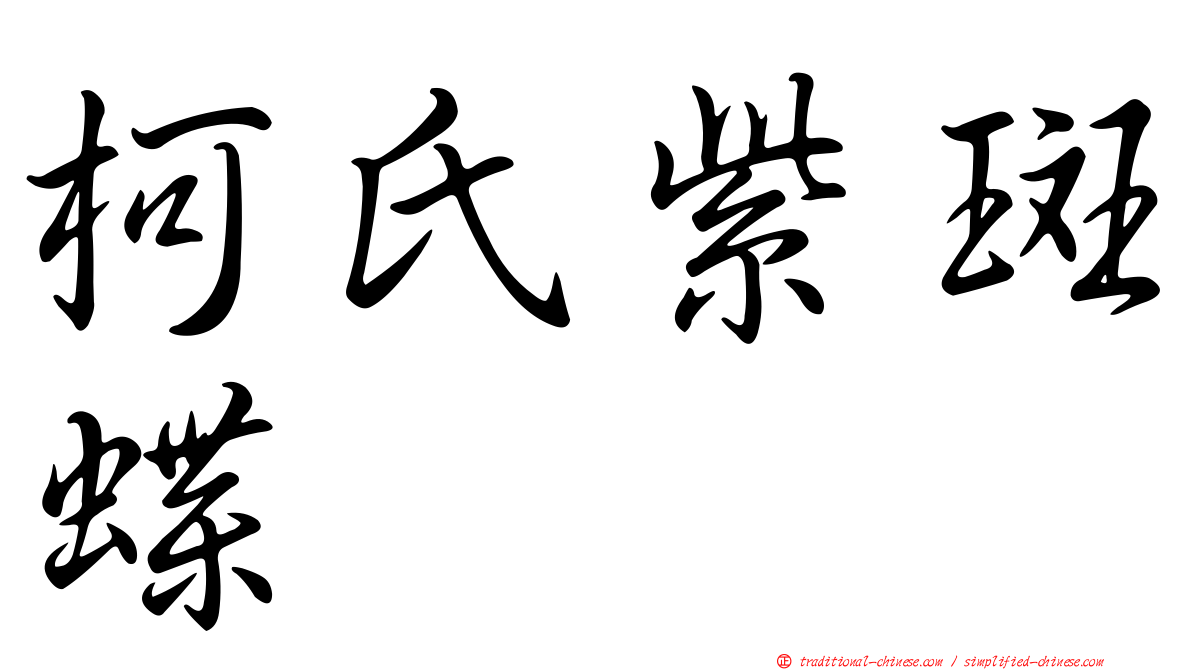 柯氏紫斑蝶