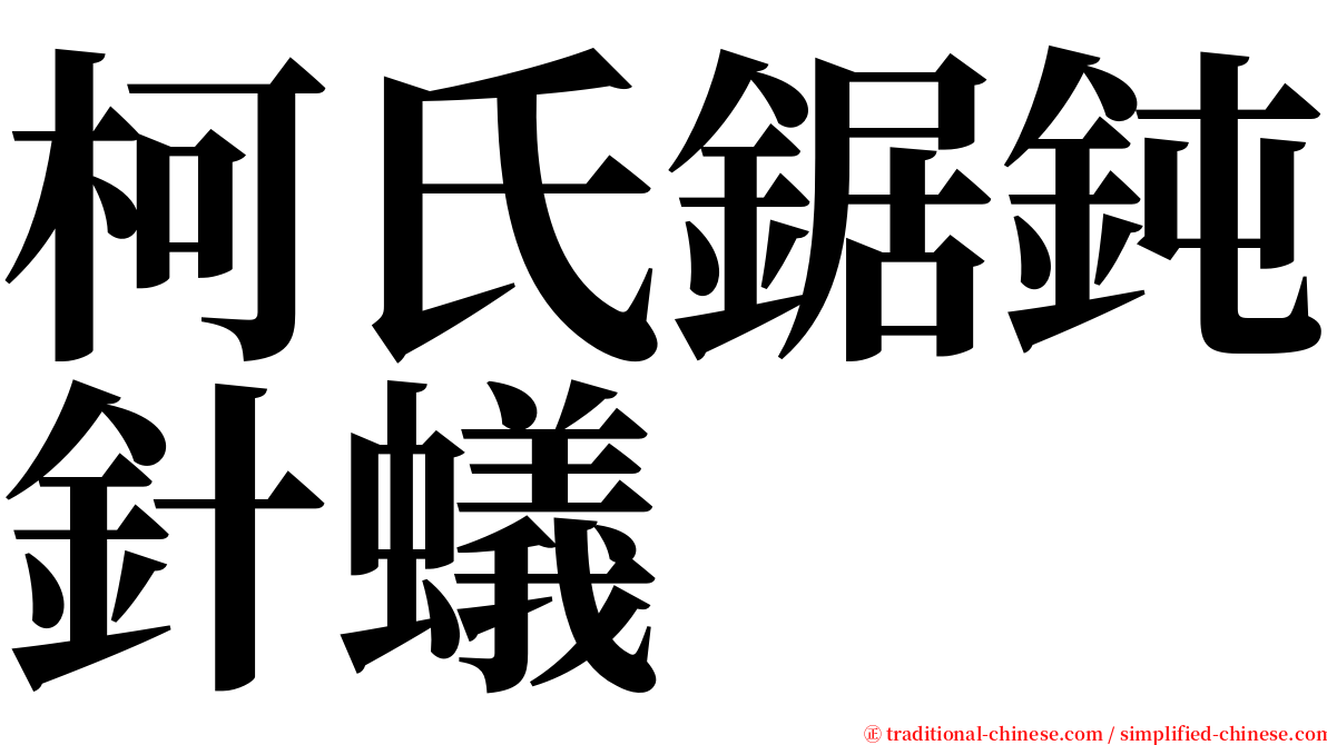 柯氏鋸鈍針蟻 serif font