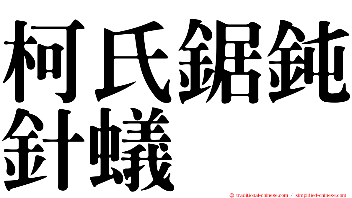 柯氏鋸鈍針蟻