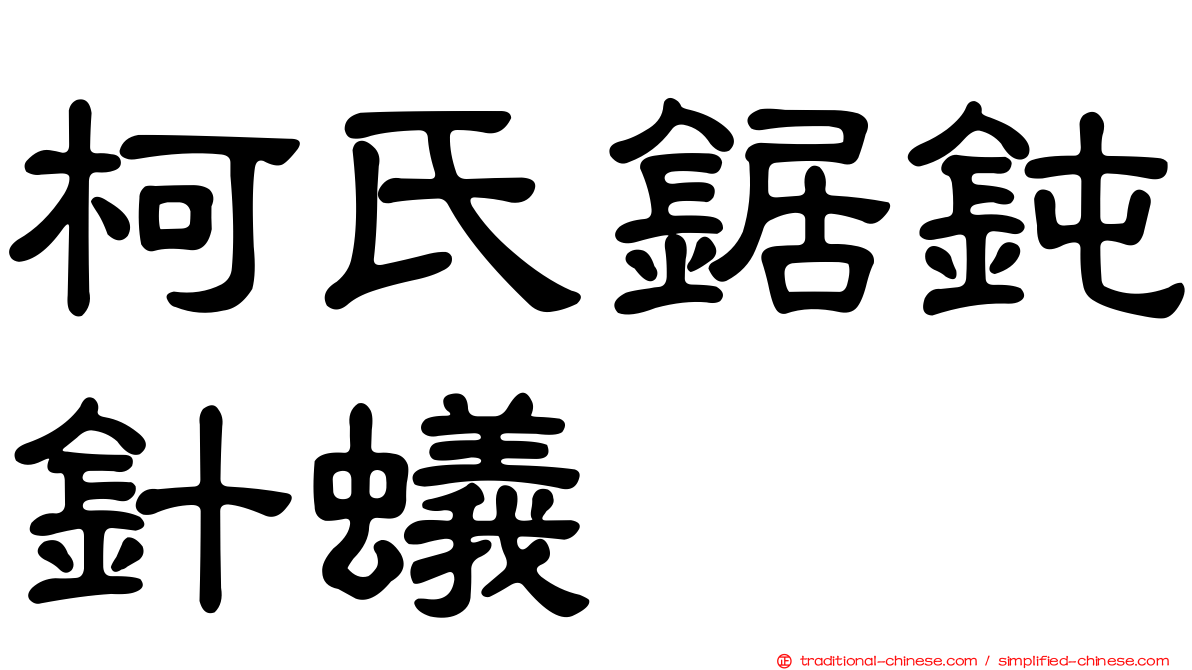 柯氏鋸鈍針蟻