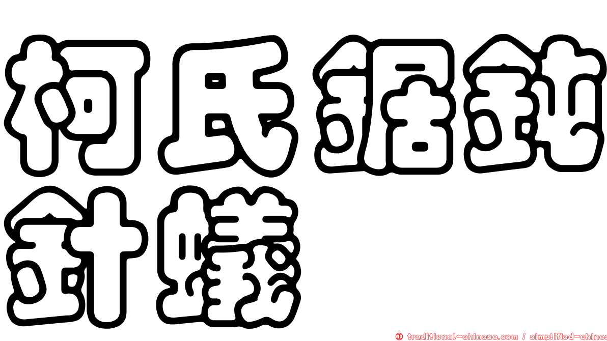 柯氏鋸鈍針蟻