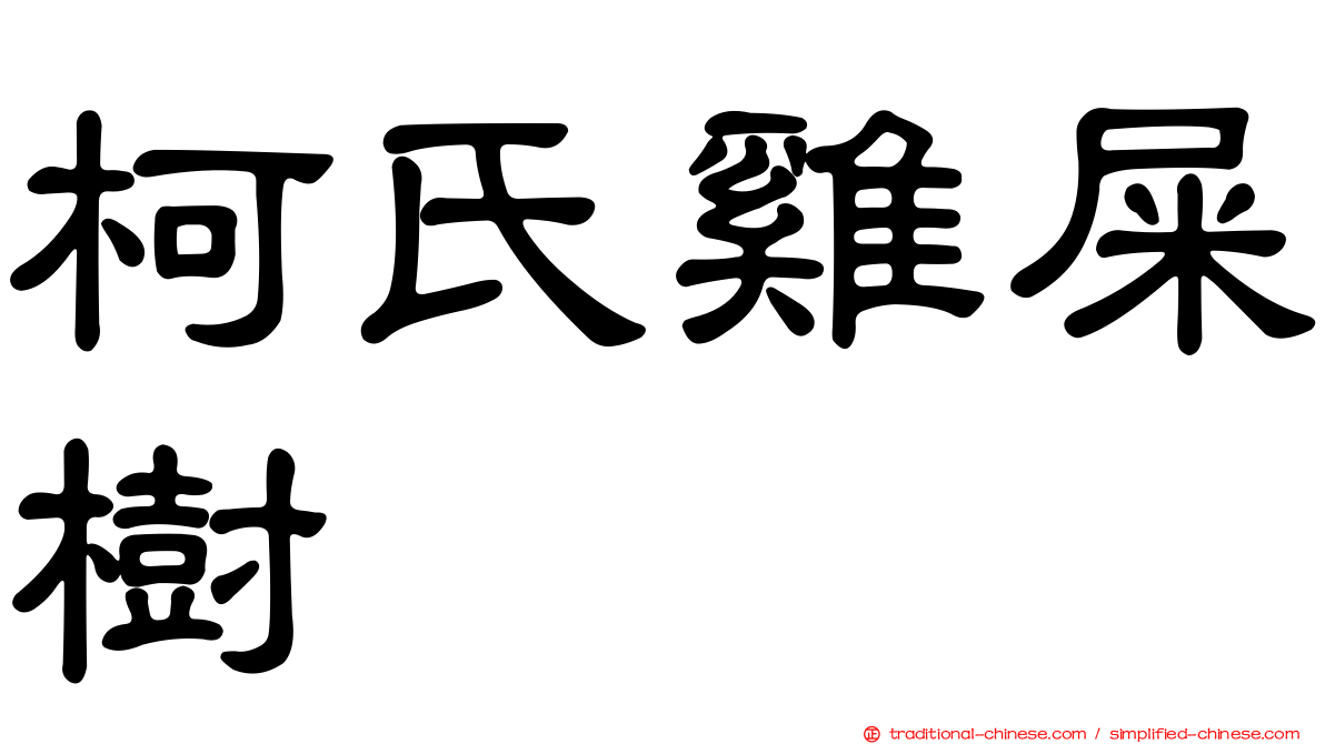 柯氏雞屎樹
