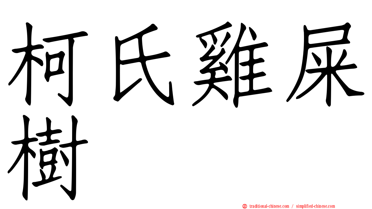 柯氏雞屎樹