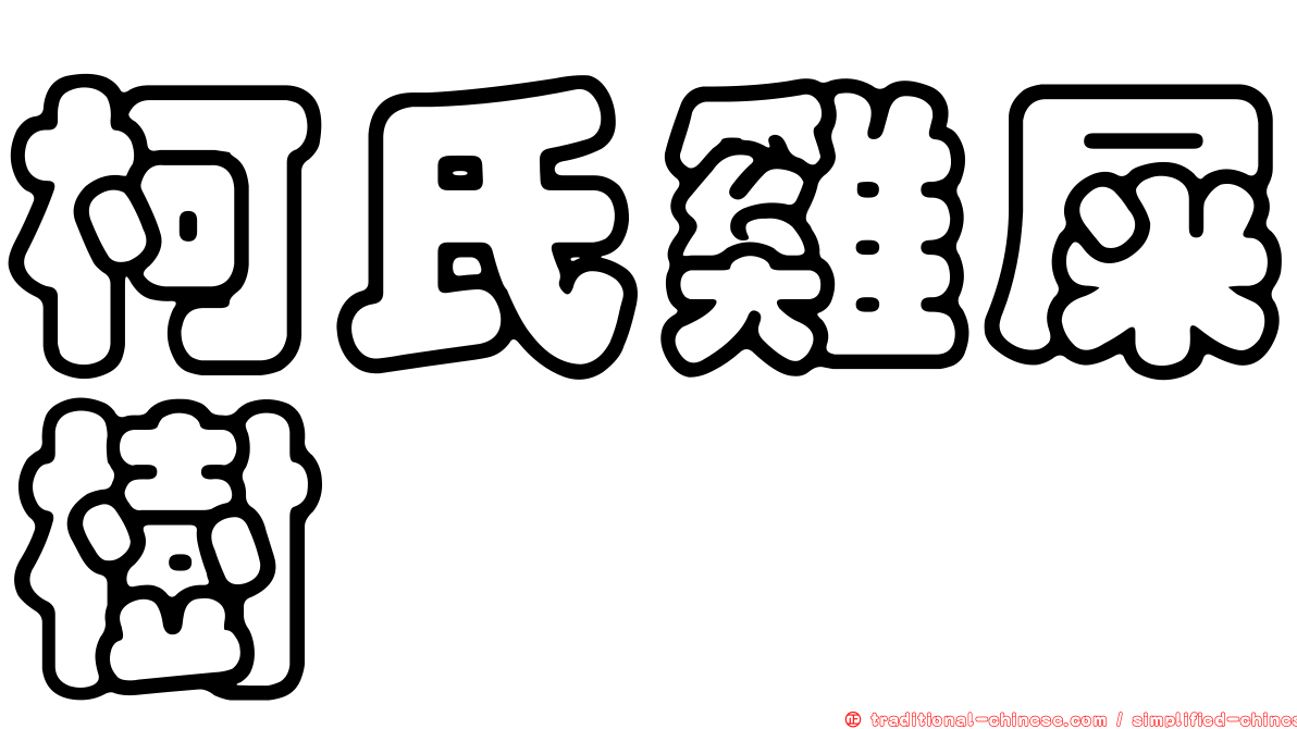 柯氏雞屎樹