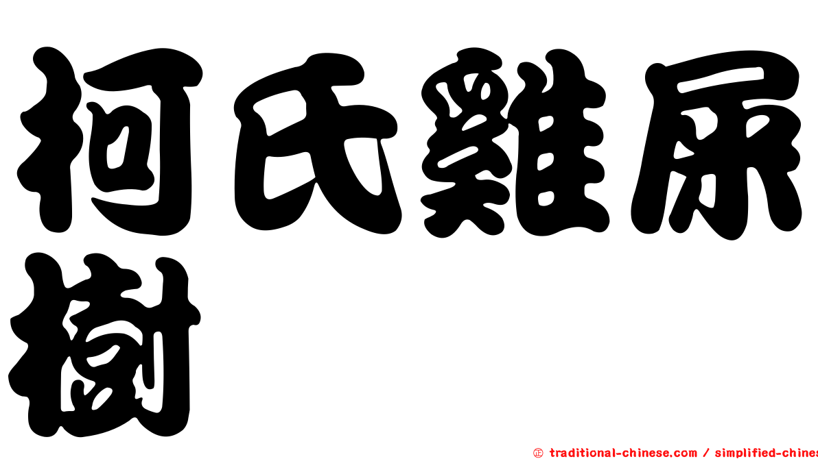 柯氏雞屎樹