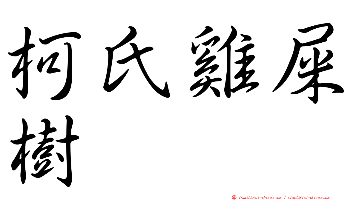 柯氏雞屎樹