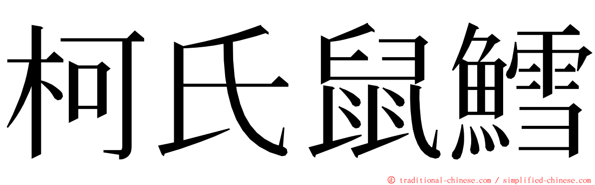 柯氏鼠鱈 ming font