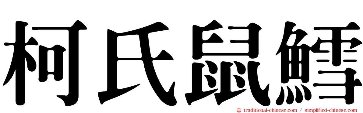 柯氏鼠鱈