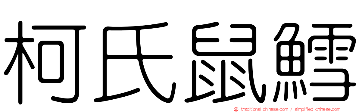 柯氏鼠鱈