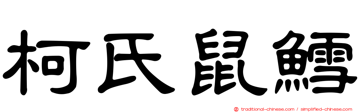 柯氏鼠鱈