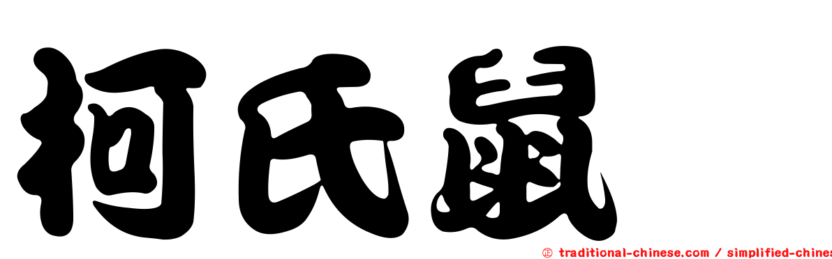 柯氏鼠鱈