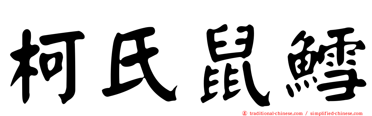 柯氏鼠鱈