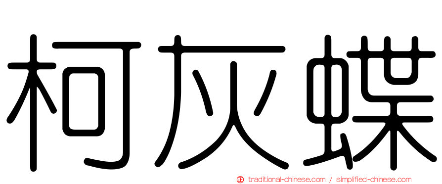 柯灰蝶