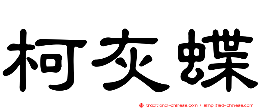 柯灰蝶