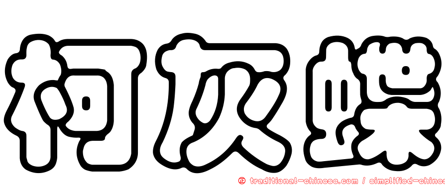 柯灰蝶