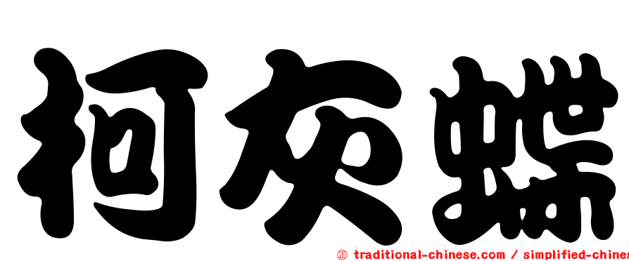 柯灰蝶