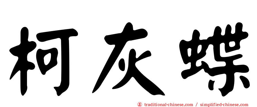 柯灰蝶
