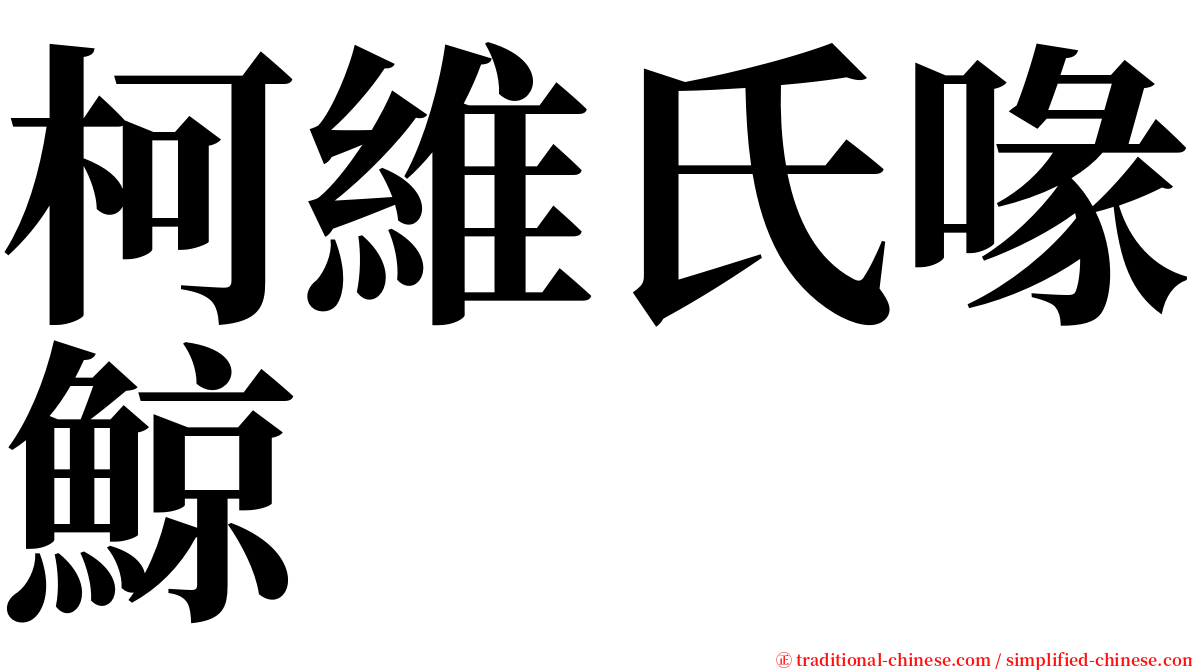 柯維氏喙鯨 serif font