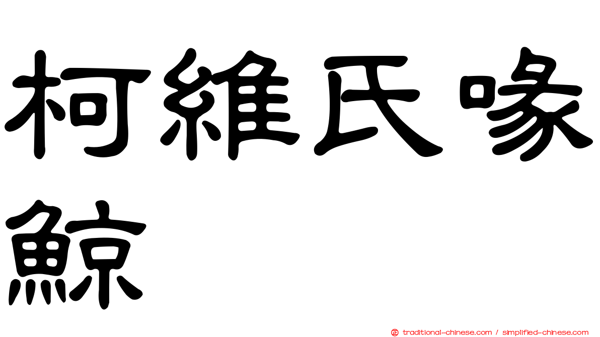 柯維氏喙鯨