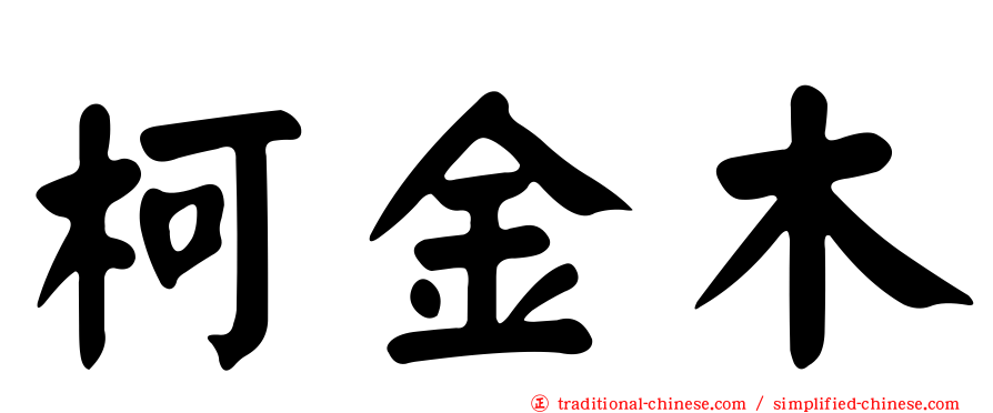 柯金木