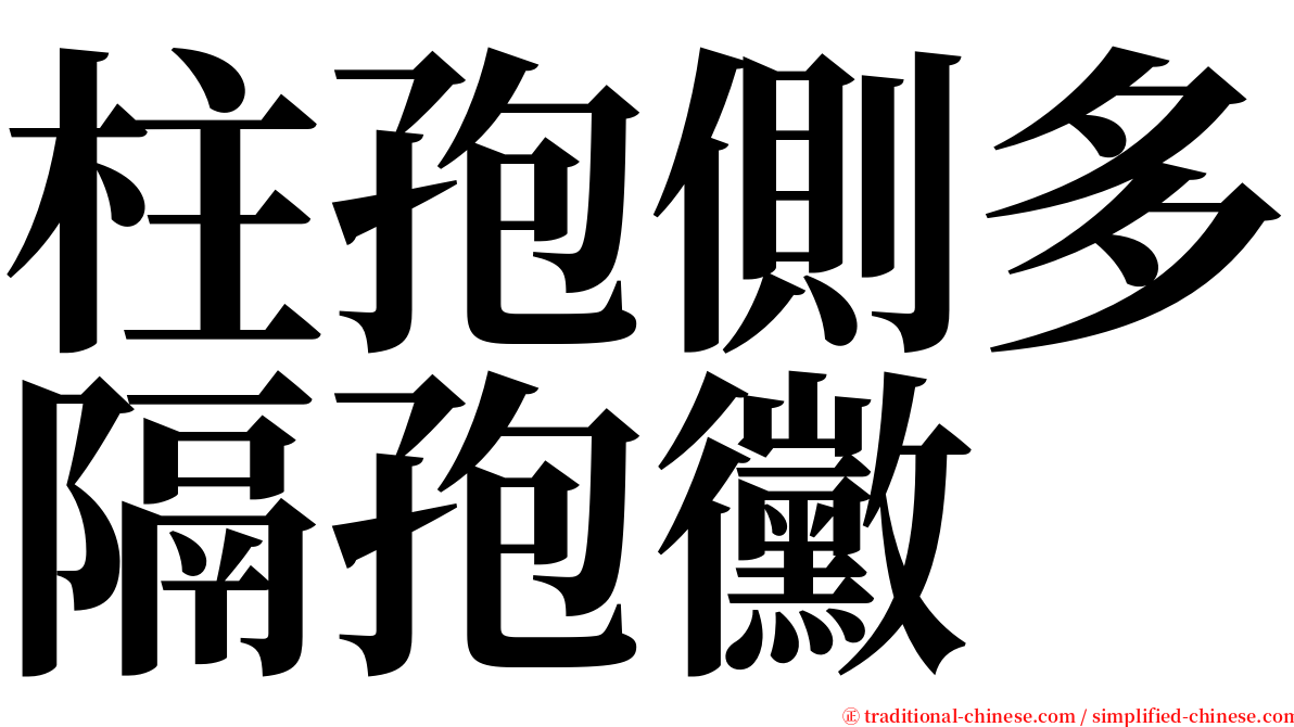 柱孢側多隔孢黴 serif font