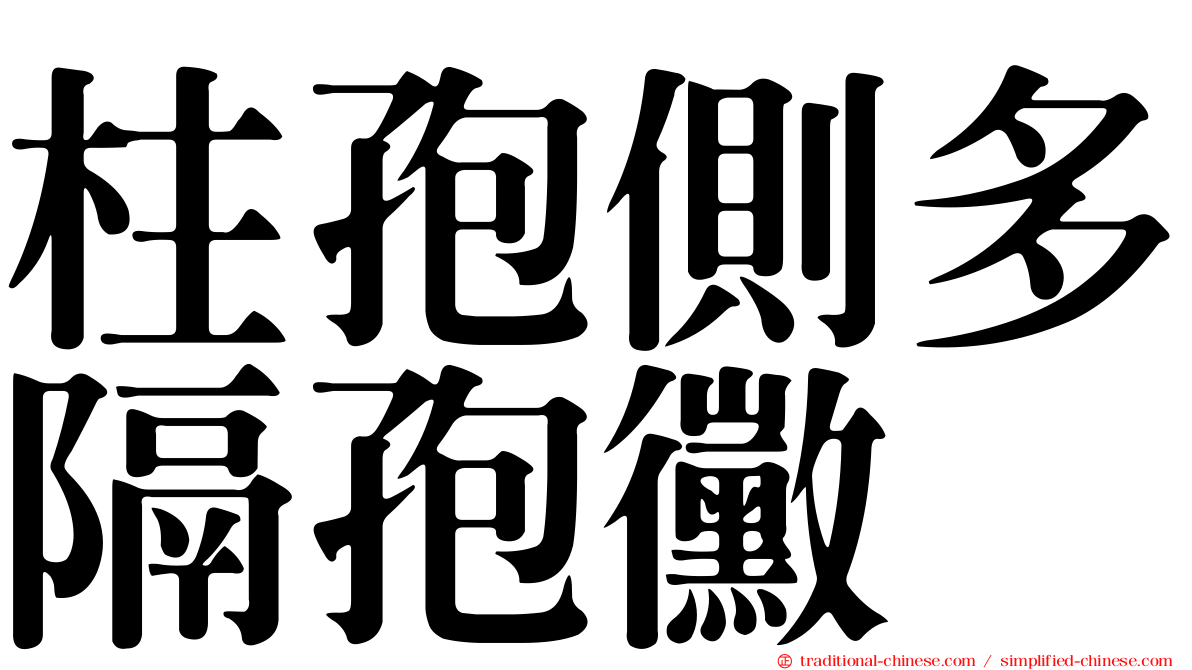 柱孢側多隔孢黴
