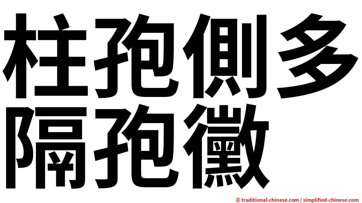 柱孢側多隔孢黴
