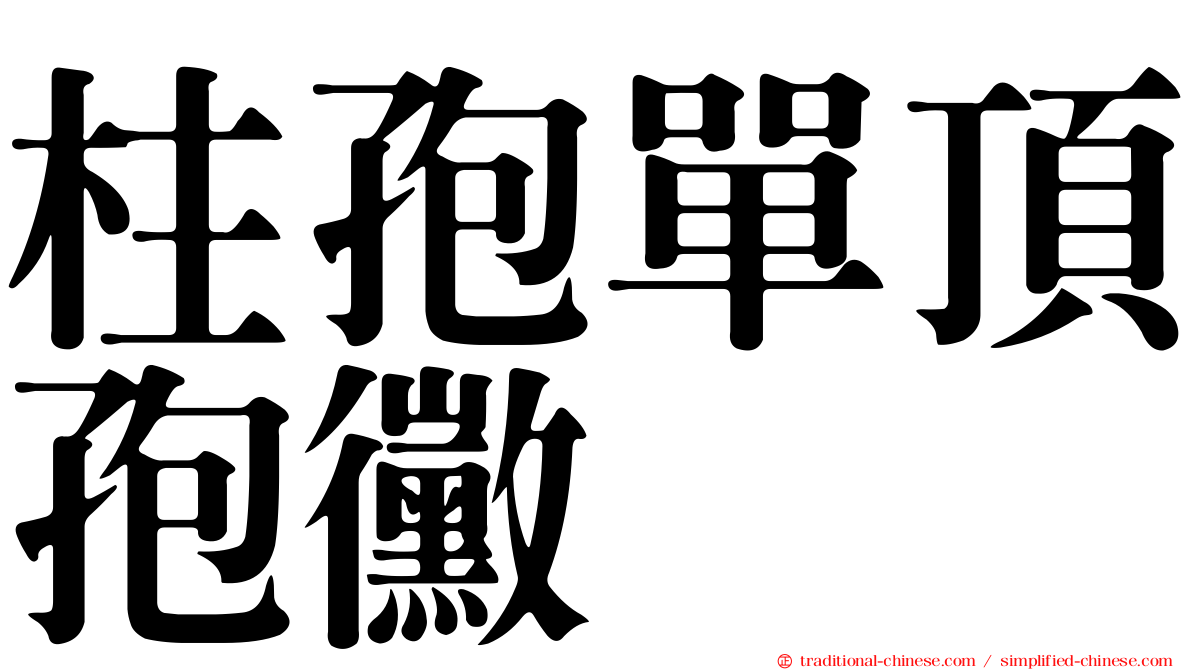 柱孢單頂孢黴