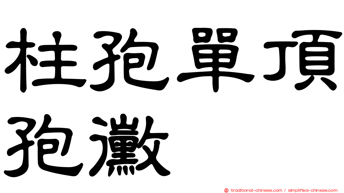 柱孢單頂孢黴