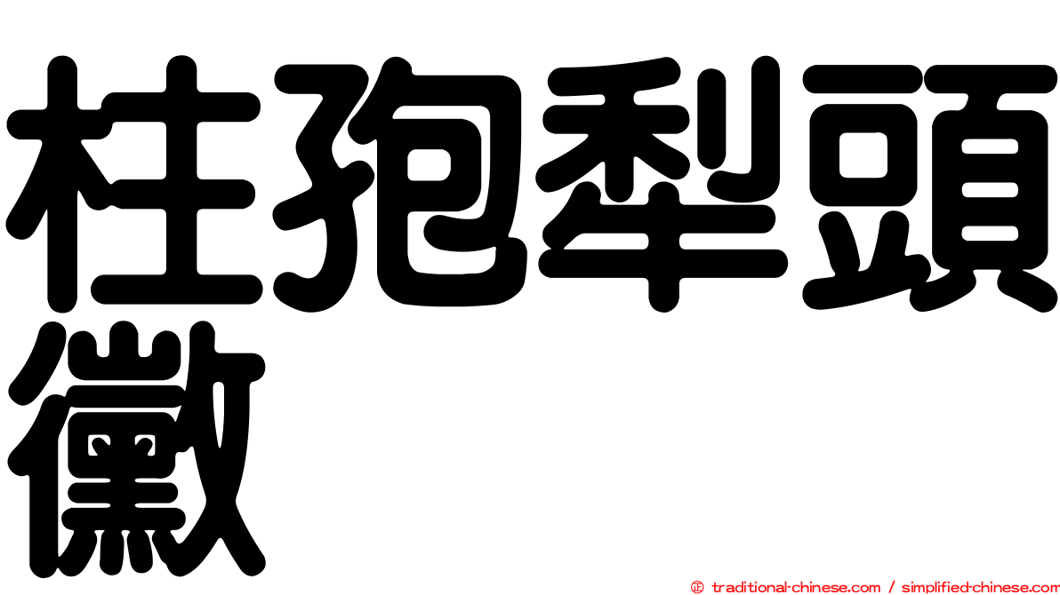 柱孢犁頭黴