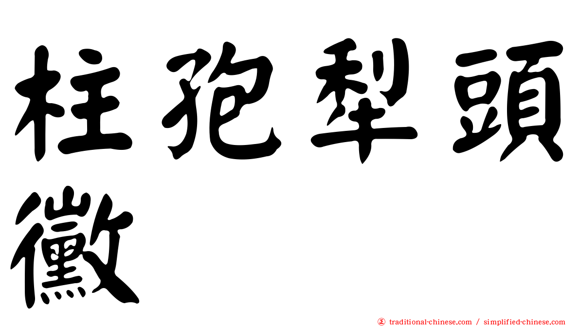 柱孢犁頭黴