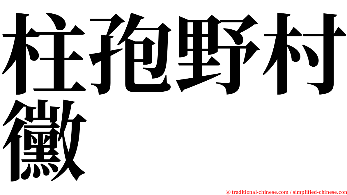 柱孢野村黴 serif font