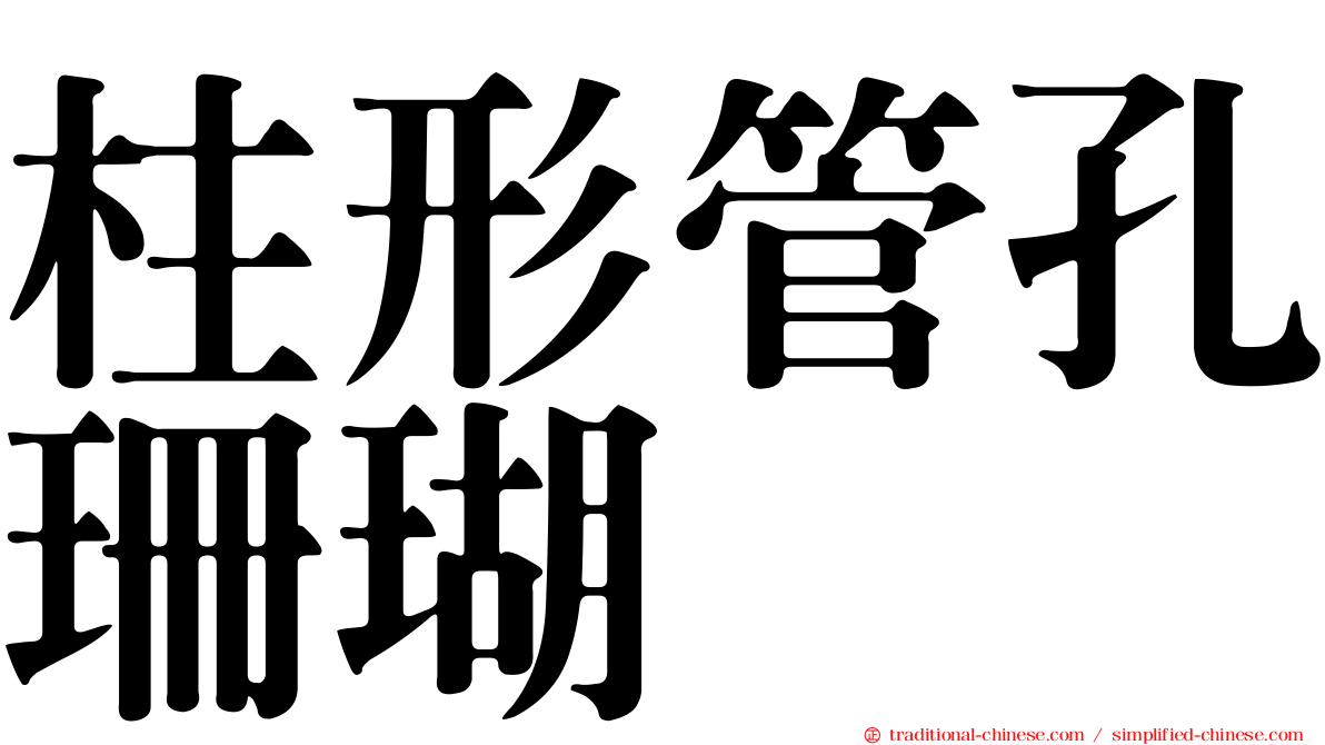 柱形管孔珊瑚