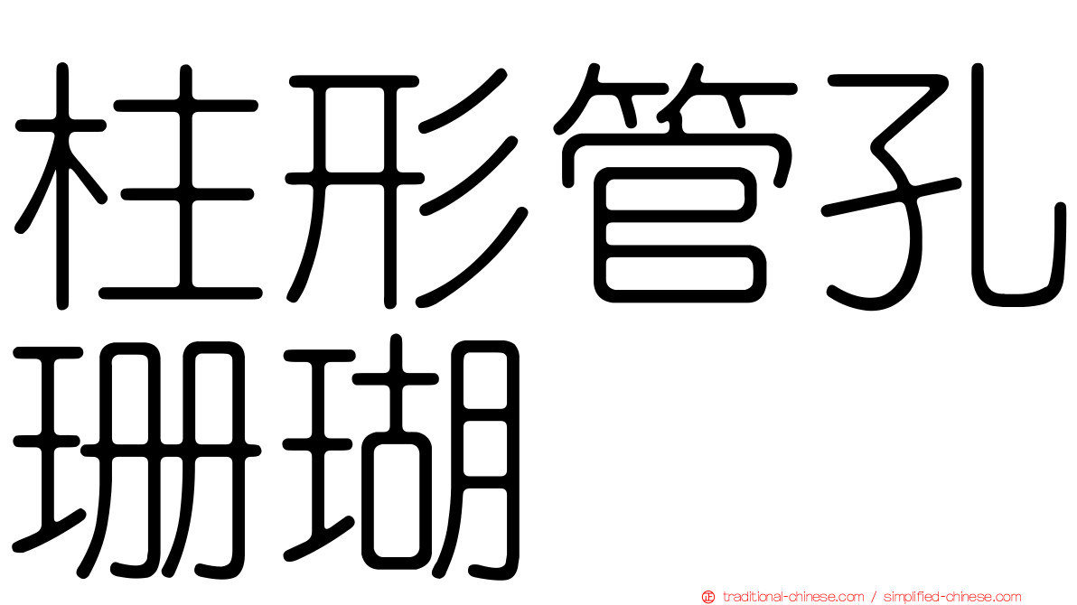 柱形管孔珊瑚