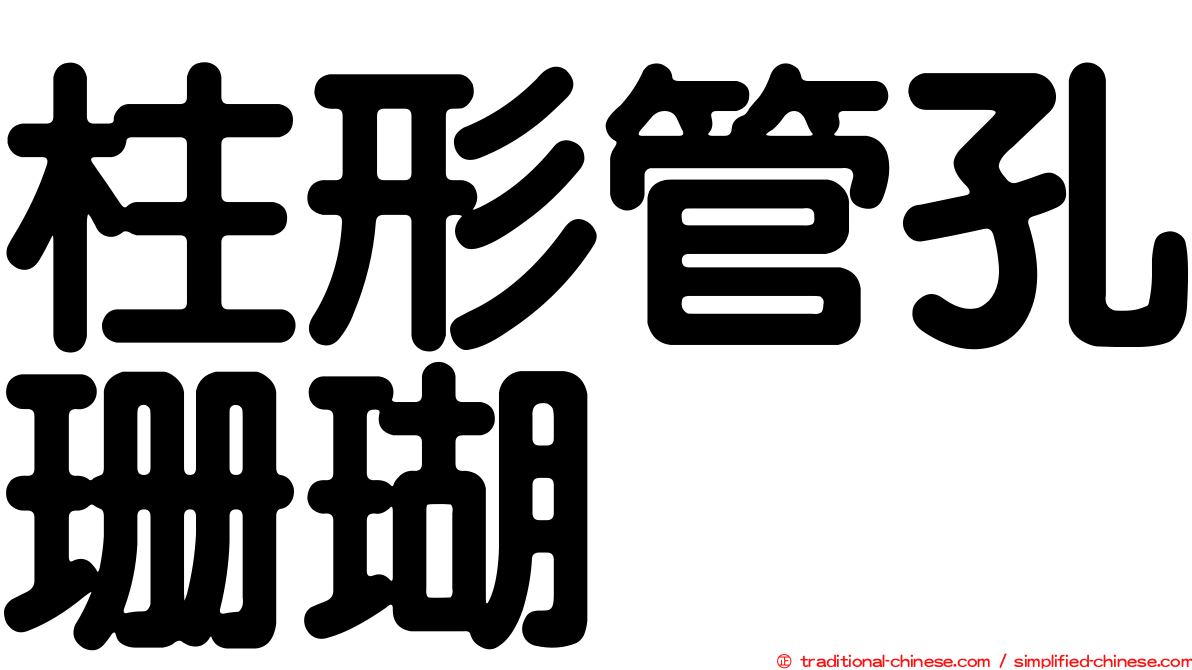 柱形管孔珊瑚