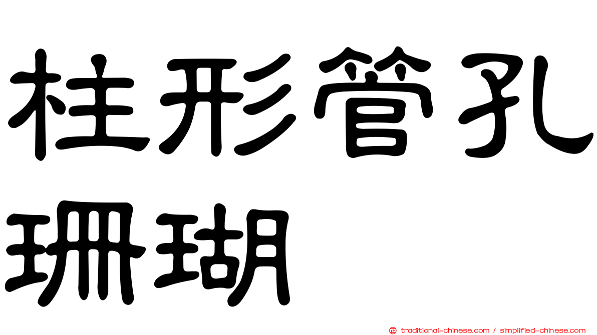 柱形管孔珊瑚