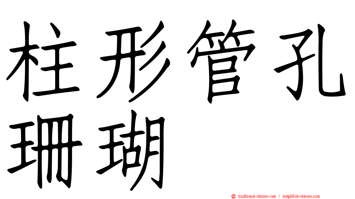 柱形管孔珊瑚