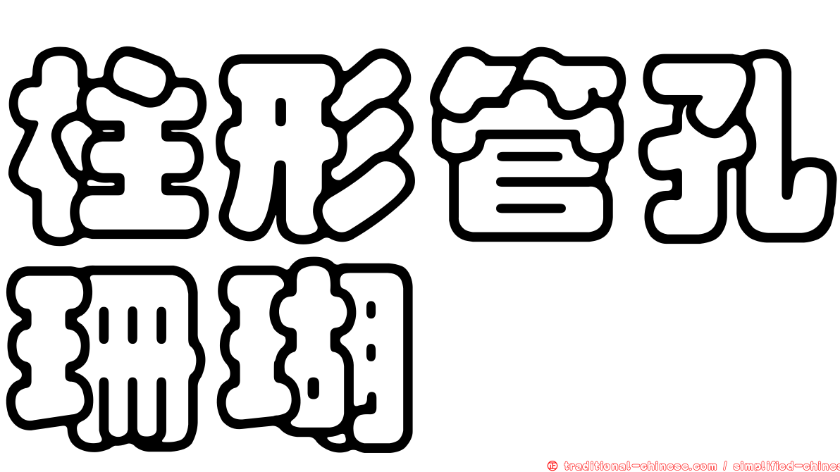 柱形管孔珊瑚