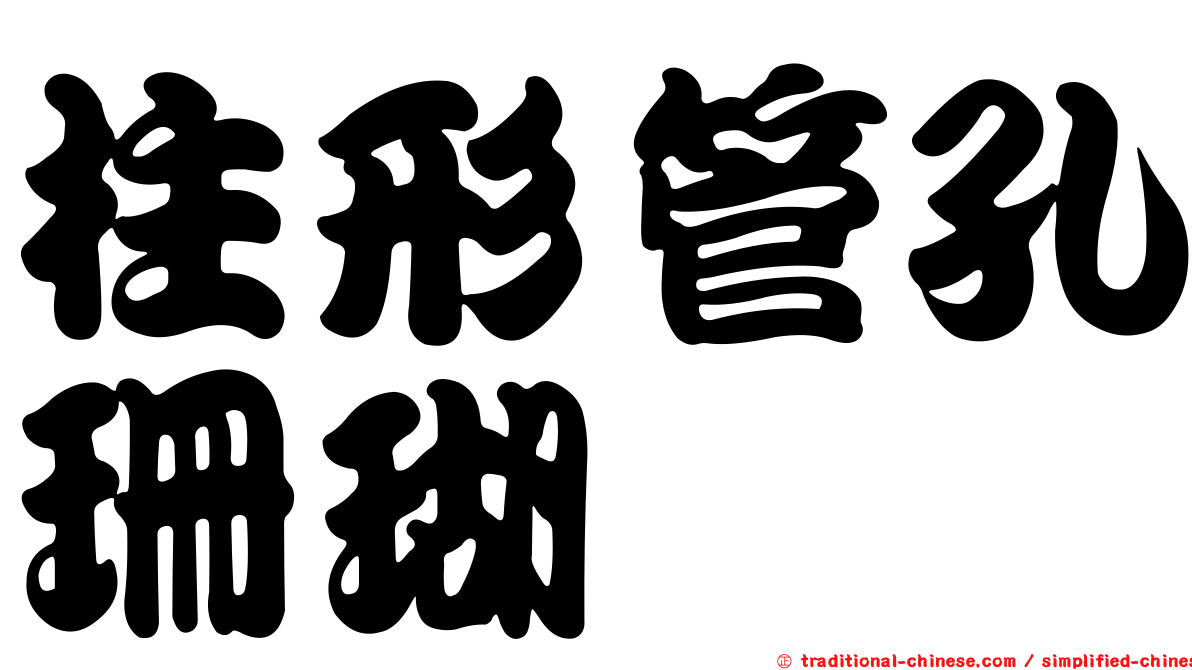 柱形管孔珊瑚